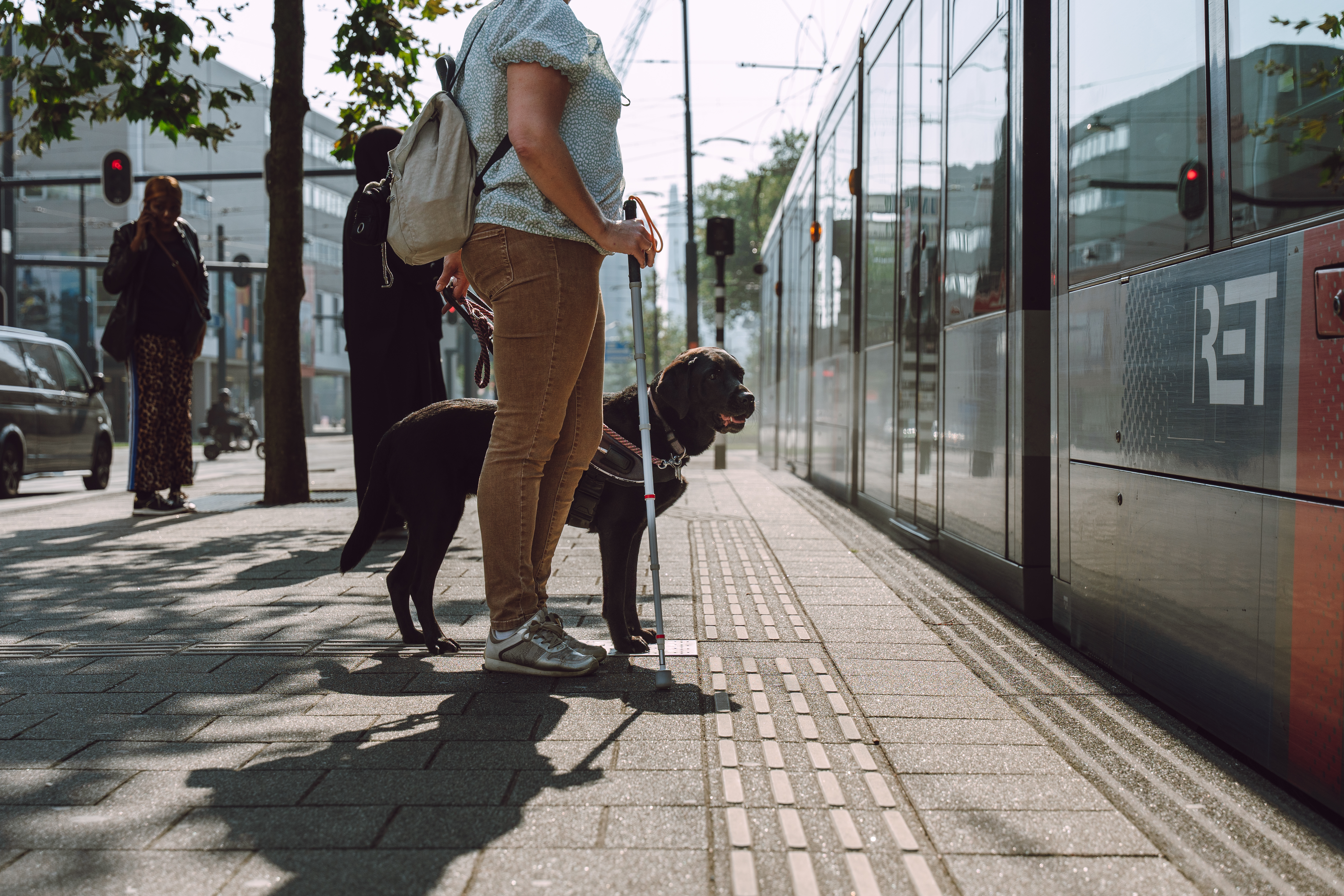 Vrouw staat met taststok en blindengeleidehond op de tram te wachten