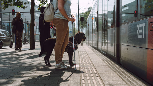 Vrouw staat met taststok en blindengeleidehond op de tram te wachten Vrouw staat met taststok en blindengeleidehond op de tram te wachten