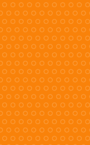 visio_patroon_2_oranje.png visio_patroon_2_oranje.png