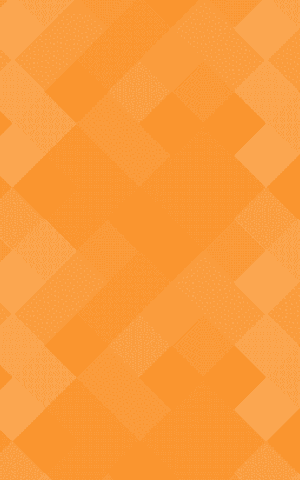 visio_patroon_3_oranje.png visio_patroon_3_oranje.png