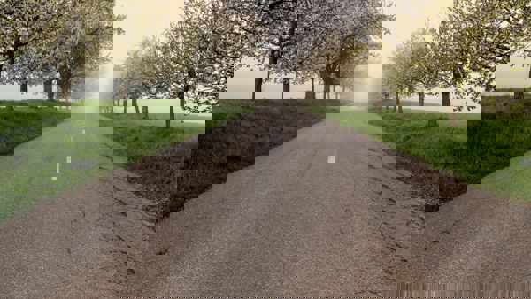 Visio-rijden-visuele-beperking-auto-mobiliteit.jpg Visio-rijden-visuele-beperking-auto-mobiliteit.jpg