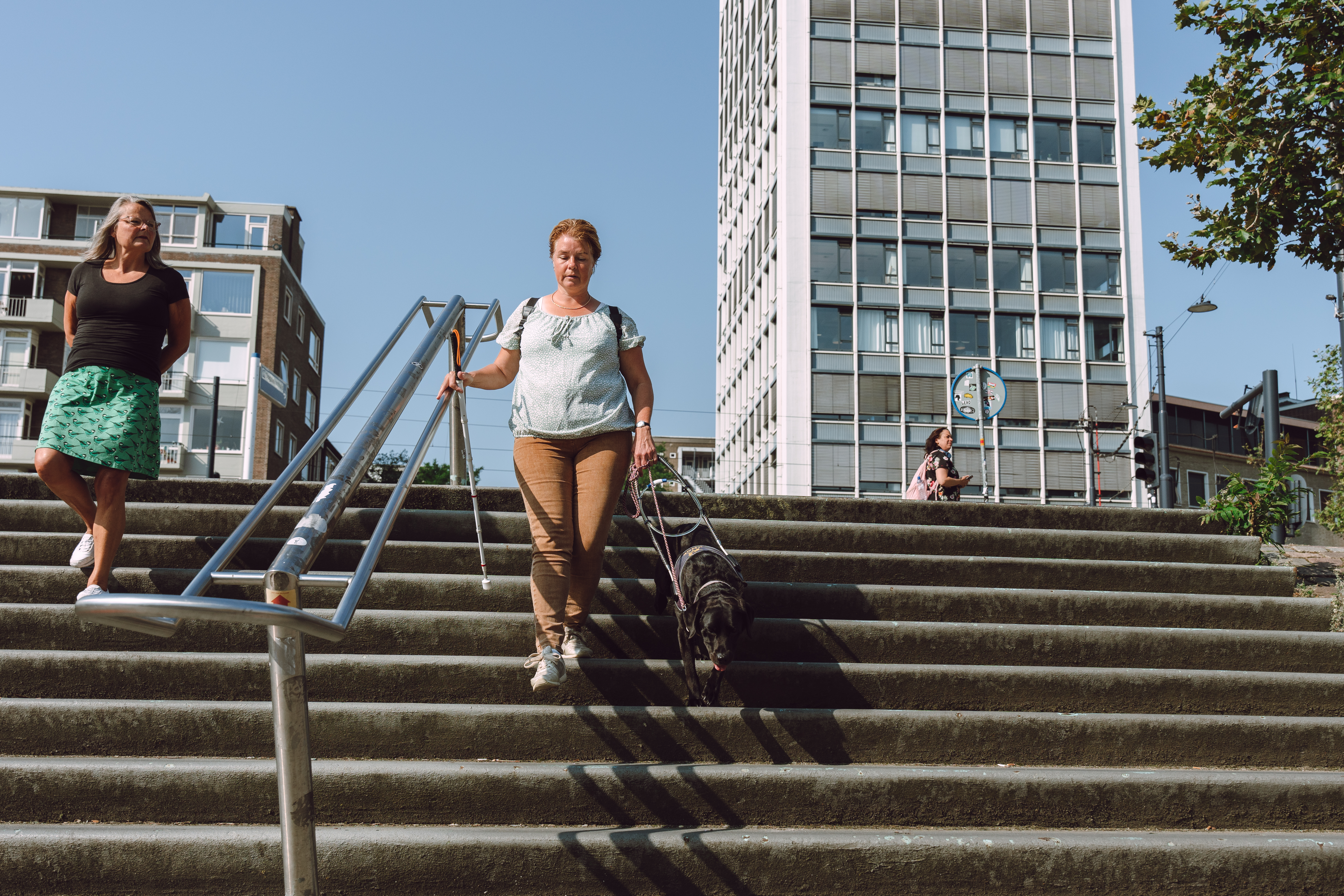 visio-rotterdam--volwassene-blindengeleidehond-mobiliteit-taststok (1).jpg